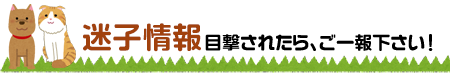 迷子情報　東大阪市獣医師会